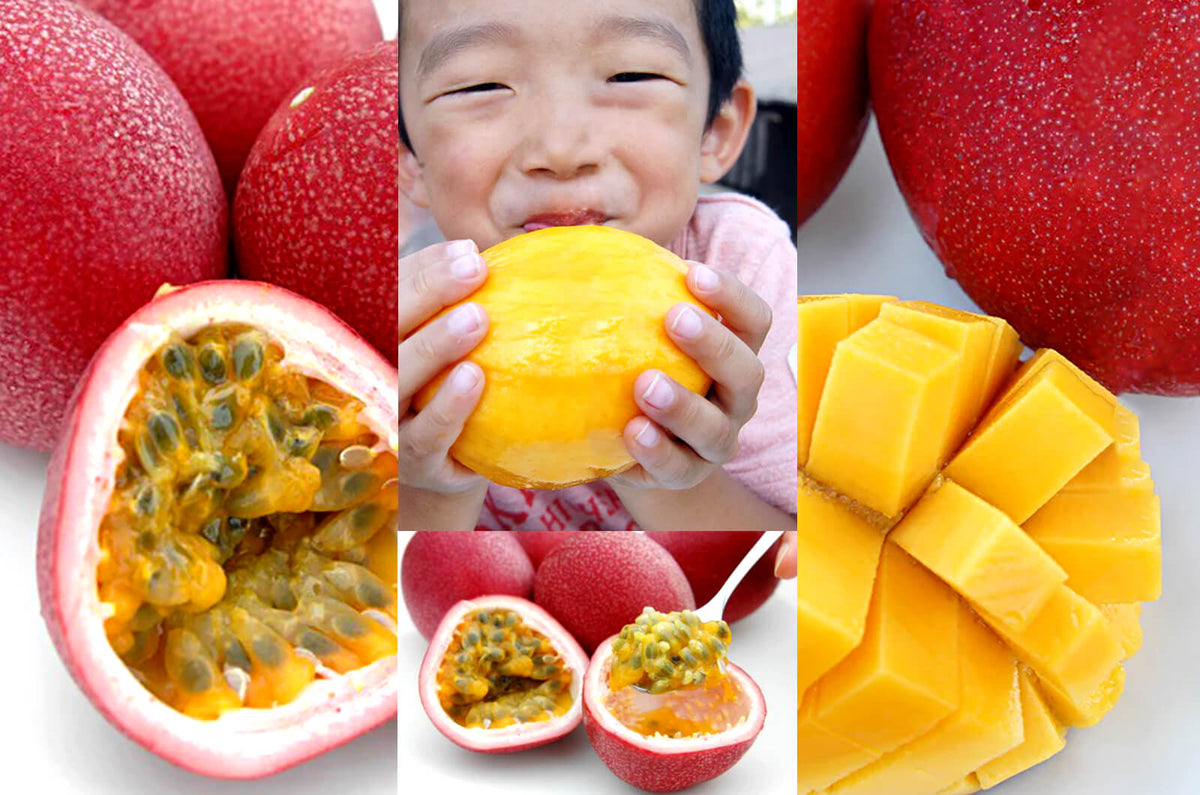 令和5年 奄美大島産 谷口さんのパッションフルーツ＆マンゴーの販売を開始しました！