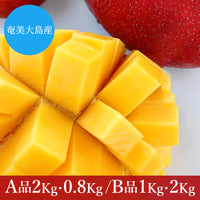 【8月上旬頃から順次出荷】【直送ふるさと便】令和7年 奄美大島産 谷口さんの減農薬栽培マンゴー ※他商品との同梱不可