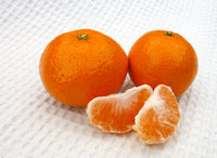 【直送ふるさと便】令和7年 小田原産 秋澤さんの減農薬・減化学肥料栽培 温州みかん ※他商品との同梱・代金引換不可 ※同一場所に15キロまで送料一個口分で配送可