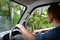 【8月上旬頃から順次出荷】【直送ふるさと便】令和7年 奄美大島産 谷口さんの減農薬栽培マンゴー ※他商品との同梱不可