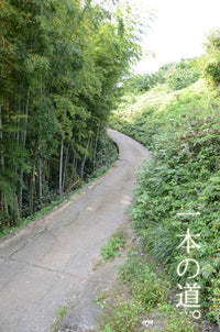 【直送ふるさと便】令和7年 小田原産 秋澤さんの減農薬・減化学肥料栽培 温州みかん ※他商品との同梱・代金引換不可 ※同一場所に15キロまで送料一個口分で配送可