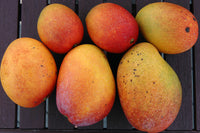 【8月上旬頃から順次出荷】【直送ふるさと便】令和7年 奄美大島産 谷口さんの減農薬栽培マンゴー ※他商品との同梱不可