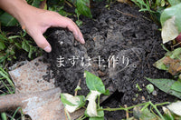 ※6月中旬以降順次発送※【直送ふるさと便】令和8年 奄美大島産 谷口さんの無農薬栽培パッションフルーツ ※他商品との同梱不可