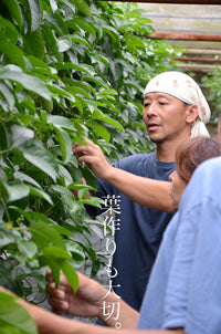 ※6月中旬以降順次発送※【直送ふるさと便】令和8年 奄美大島産 谷口さんの無農薬栽培パッションフルーツ ※他商品との同梱不可