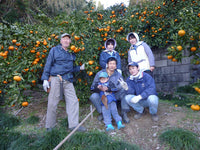 【直送ふるさと便】令和7年 小田原産 秋澤さんの減農薬・減化学肥料栽培 温州みかん ※他商品との同梱・代金引換不可 ※同一場所に15キロまで送料一個口分で配送可