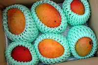 【8月上旬頃から順次出荷】【直送ふるさと便】令和7年 奄美大島産 谷口さんの減農薬栽培マンゴー ※他商品との同梱不可