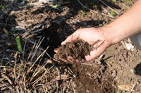 【直送ふるさと便】令和7年 小田原産 秋澤さんの減農薬・減化学肥料栽培 温州みかん ※他商品との同梱・代金引換不可 ※同一場所に15キロまで送料一個口分で配送可