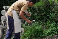 割ッ烹レ ベーシックエプロン キナリ 150g(オーガニックコットン100%)※他商品との同梱不可