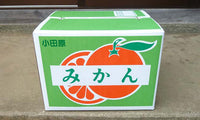 【直送ふるさと便】令和7年 小田原産 秋澤さんの減農薬・減化学肥料栽培 温州みかん ※他商品との同梱・代金引換不可 ※同一場所に15キロまで送料一個口分で配送可