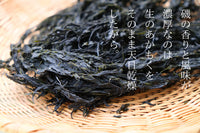 【数量限定】令和5年 神奈川県産 天然乾燥あかもく(60g×3袋セット) ※他商品との同梱不可
