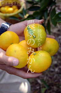 【直送ふるさと便】令和7年 小田原産 秋澤さんの減農薬・減化学肥料栽培 温州みかん ※他商品との同梱・代金引換不可 ※同一場所に15キロまで送料一個口分で配送可