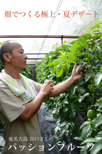 ※6月中旬以降順次発送※【直送ふるさと便】令和8年 奄美大島産 谷口さんの無農薬栽培パッションフルーツ ※他商品との同梱不可