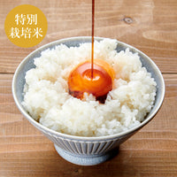 【直送便】 ≪人生最高レストランで紹介≫ 令和7年 山形県庄内産 特別栽培米 おやじの米(コシヒカリ) 白米 玄米 分搗き米 1/2/5kg ※他商品との同梱不可