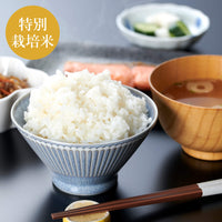 【直送便】令和7年 山形県置賜産 特別栽培米 吉田さんのコシヒカリ 白米 玄米 分搗き米 1/2/5kg ※他商品との同梱不可