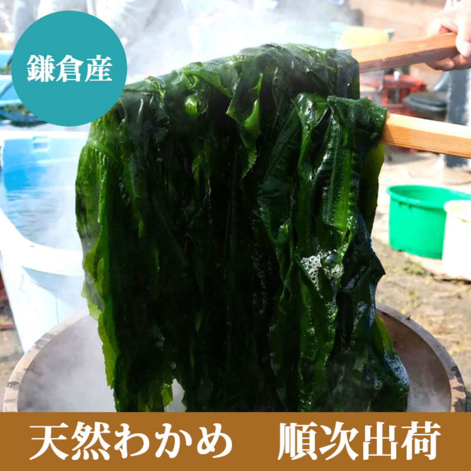 カガさん専用　令和7年岩手県産乾燥わらび　７キロ カガさん専用 令和7年岩手県産乾燥わらび 7キロ - メルカリ