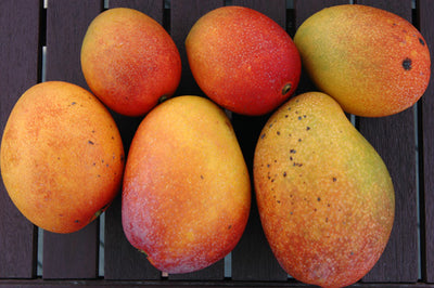 2_3_400x.jpg?v=1717560815