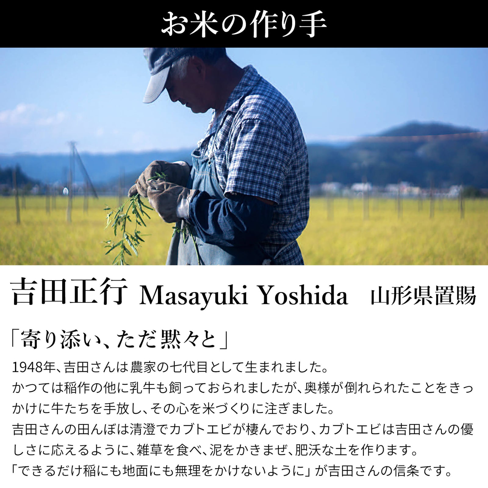 直送便】令和6年 山形県置賜産 特別栽培米 吉田さんのコシヒカリ 直送便】令和6年 山形県置賜産 特別栽培米 吉田さんのコシヒカリ